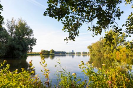 Almere fietsen VVV Visit Lepelaarsplassen Natuur