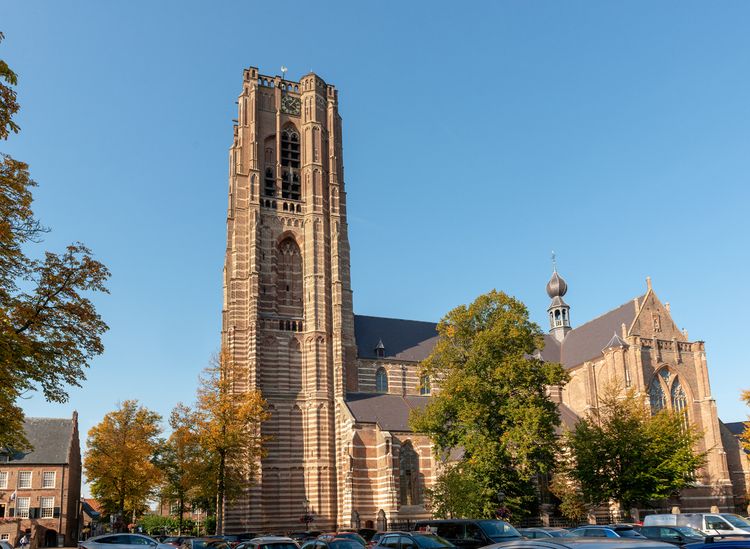de Sint-Petrusbasiliek in de volle zon