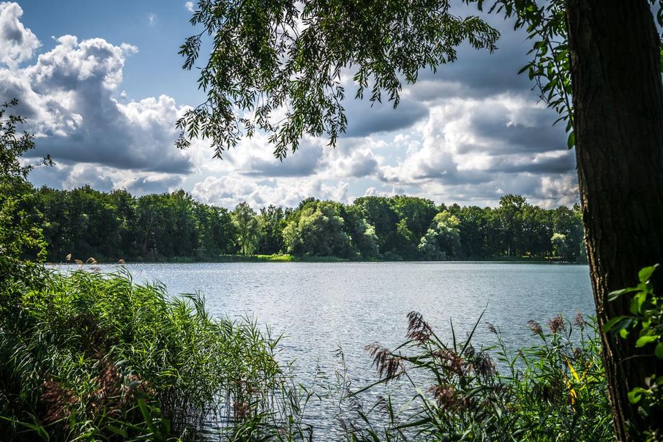 zwemplas Engelgaarde Meppel