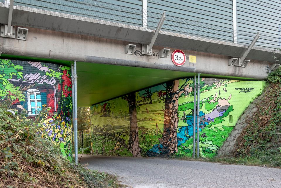 Van Gogh muurschildering Eindhoven