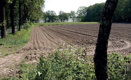 Vleutsche Kampenwandeling