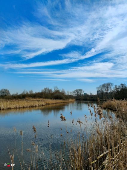 Water van Ossermeer met blauwe lucht en witte strepen