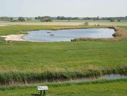 Dyksputten