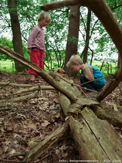 OERRR Natuurontdektocht Dwingelderveld