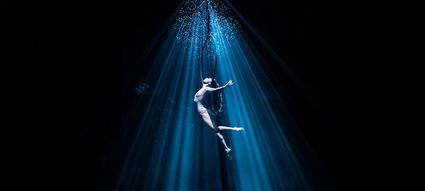 Programmering van Theater de Lievekamp