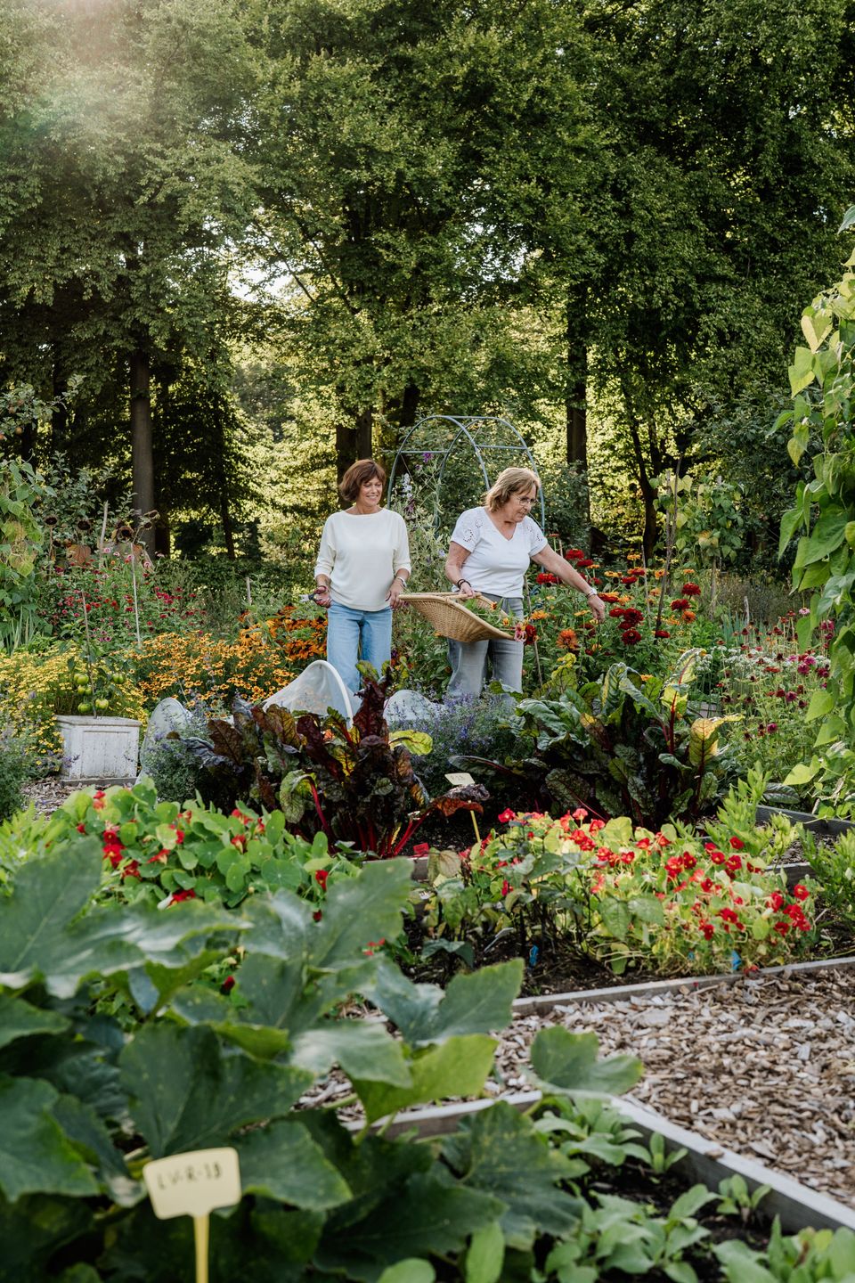Bloemen plukken wordt hier een klein avontuur. Struin tussen de kleurrijke vakken, kies jouw favoriete bloemen en stel ter plekke een persoonlijk veldboeket samen dat rechtstreeks uit de tuin komt.