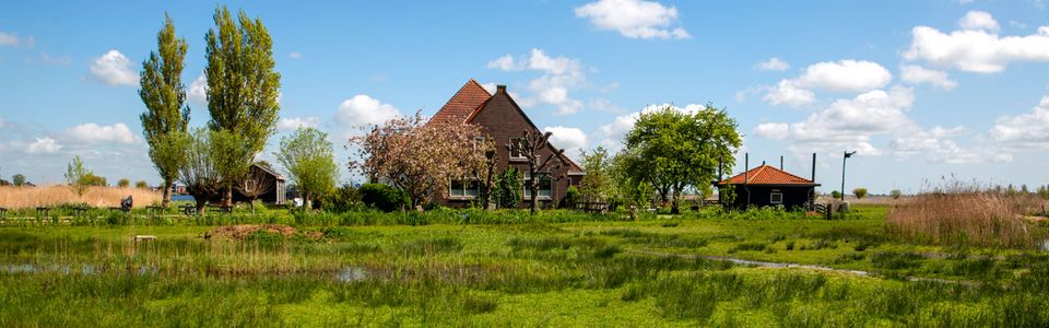Boerderij in een groene omgeving