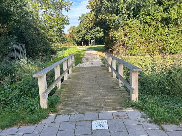 bruggetje harlinger bos