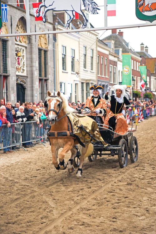 Paardenmarkt