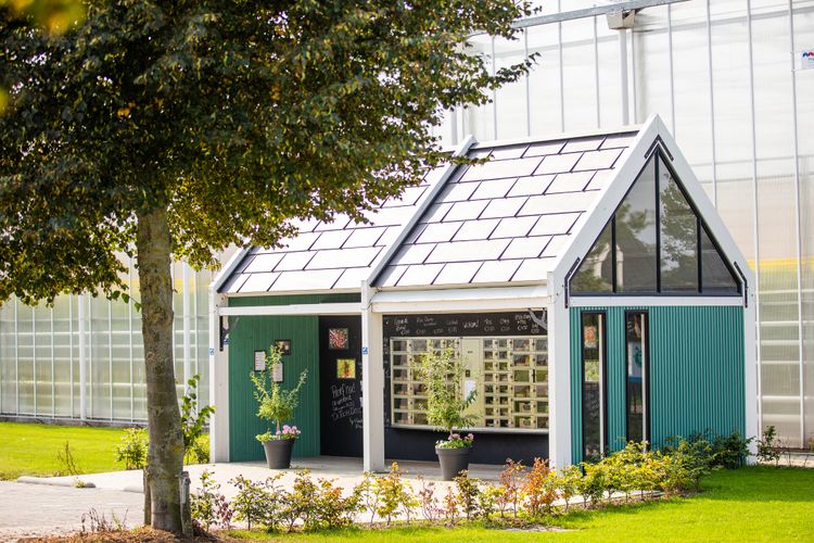 Wim Peters Kwekerijen