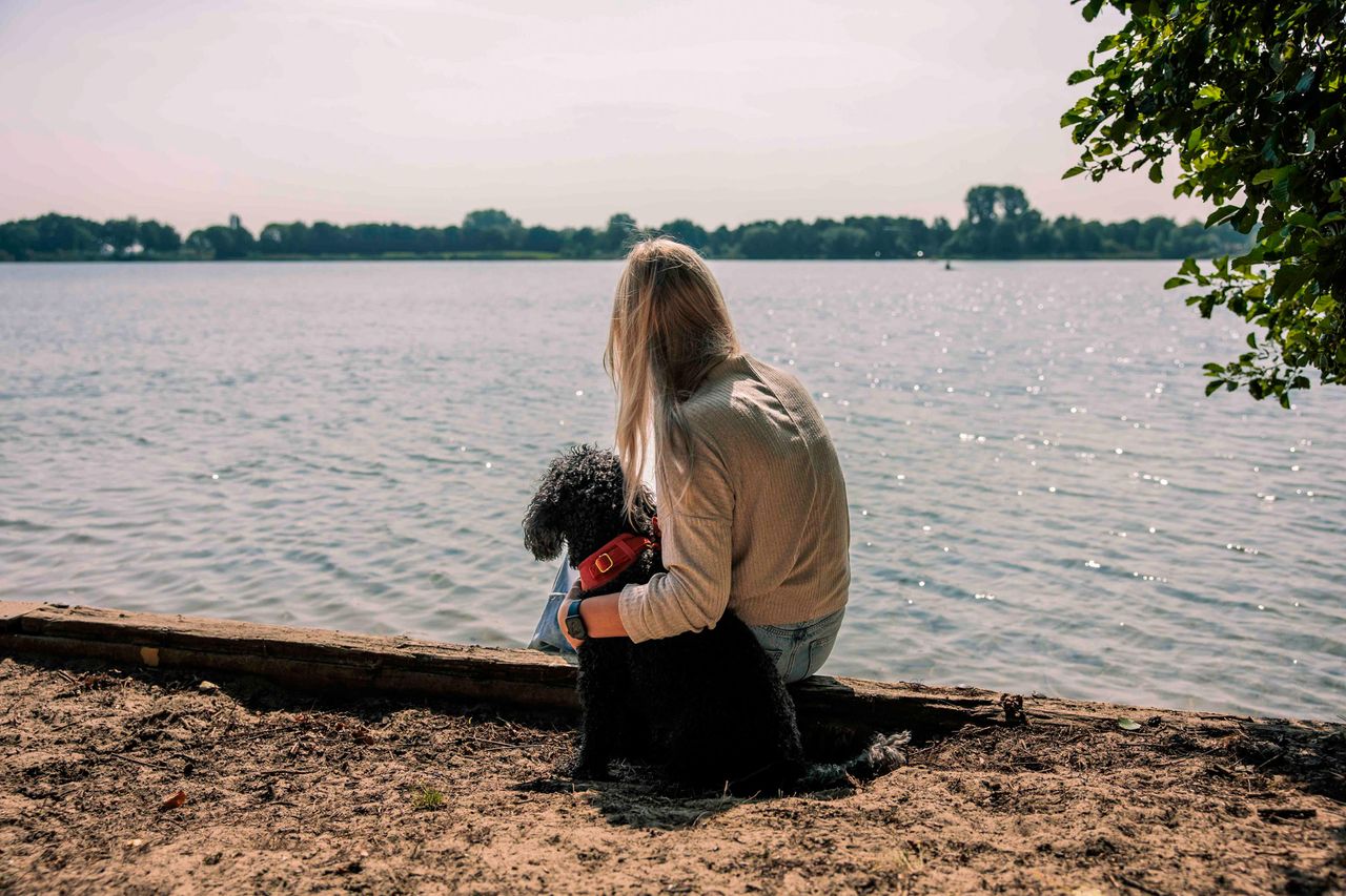 Hond met baasje op recreatiegebied