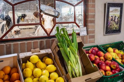 Streekproducten in de boerderijwinkel van De Beekhoeve met appels, prei en citrusfruit, met uitzicht op koeien op de biologische boerderij in het Groene Hart.