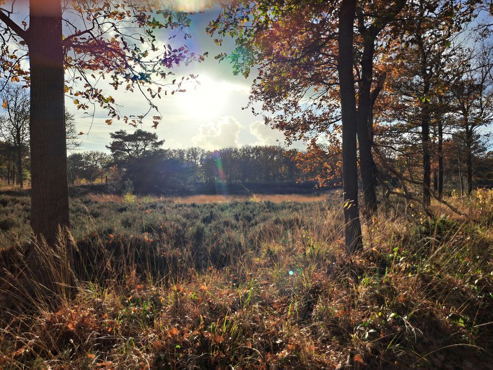 Oldeberkoop Donkerbroek | Canadian Trail oost-Fryslân: Etappe 1