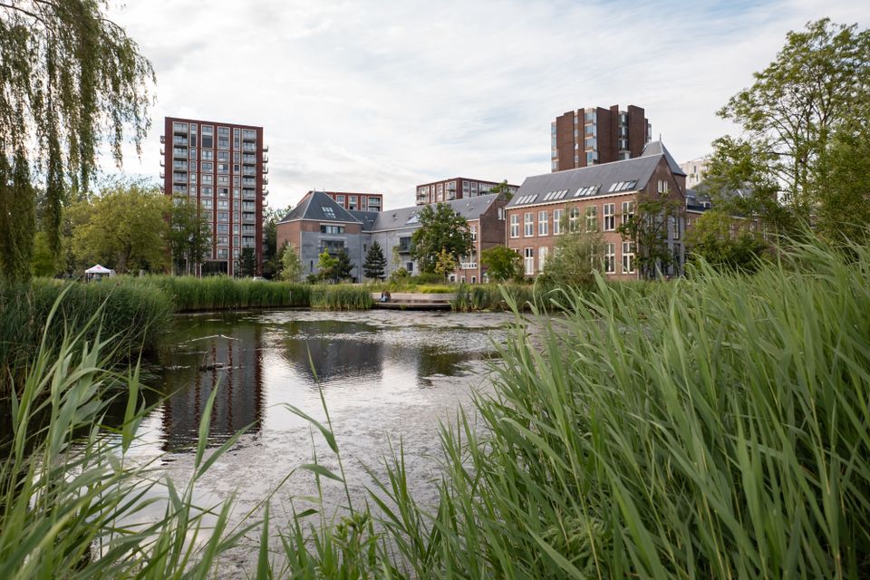 Landscape of Leiden Bio Science Park building, surrounded by trees, reflected in the water.
