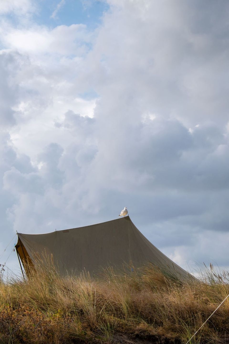 Overnachten in een tentjeop Vlieland