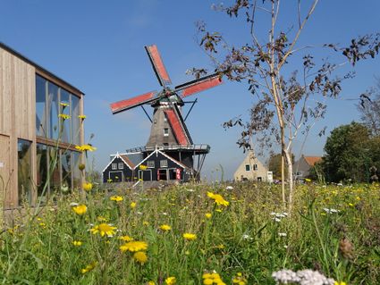 molen de rat in ijlst op een zonnige dag