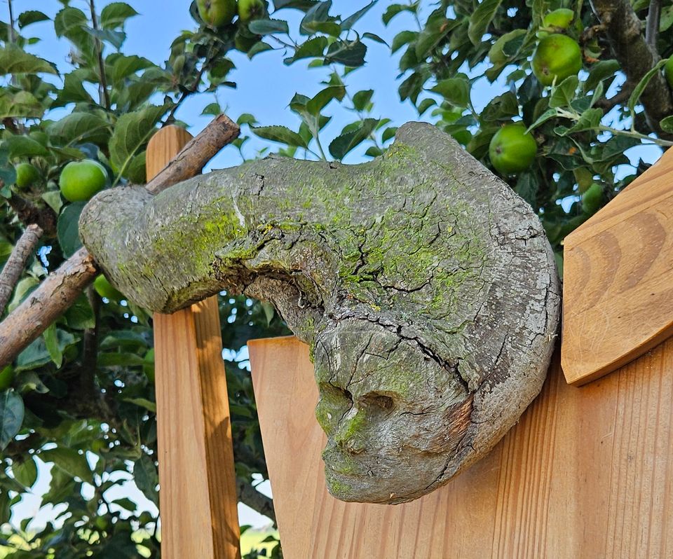 The Great GROÛNDmonster - detail