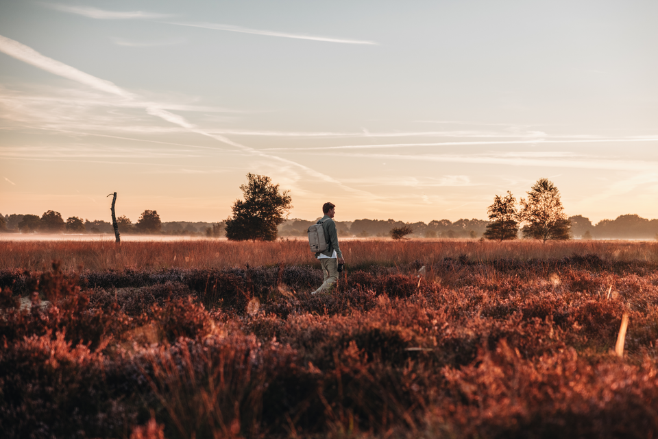 Een man wandelt op een vroege zonnige ochtend, met nog zichtbare flarden nevel, over het Ballooërveld in Drenthe.