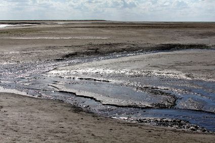 het wad kleigebied