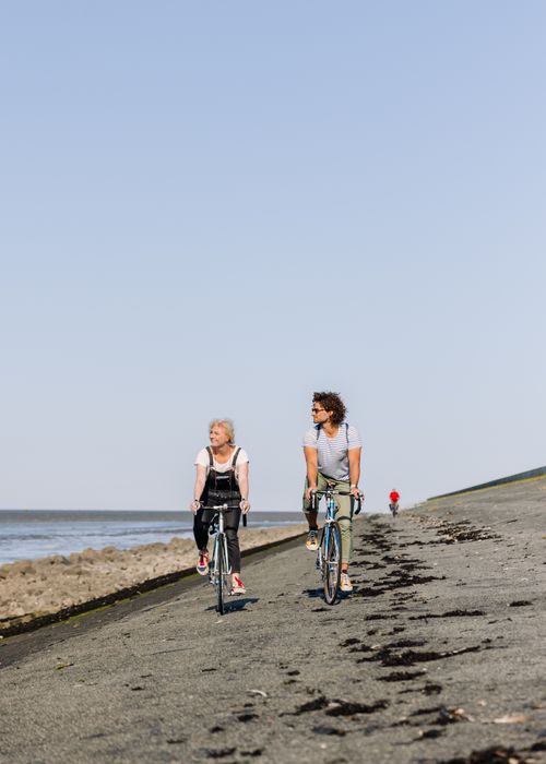 Fietsen op de dijk