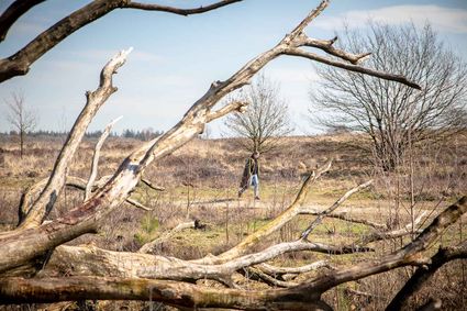 Wandelen in Ede - Natuur en Actief - BezoekEde