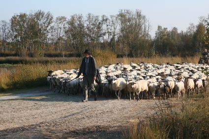 Bargerveen Het Bargerveen is een bijzonder natuurgebied met uitgestrekte veenlandschappen, heide en bijzondere flora en fauna. Wandel of fiets door het gebied en geniet van de rust en weidse uitzichten.