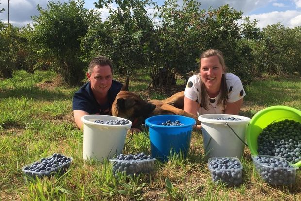 Die Eigentümer des Blaubeeren-Selbsterntefelds Elim mit Eimern voller Blaubeeren.