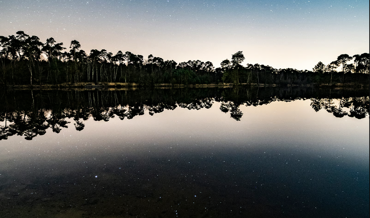 Sterren in de schemer op de Kampina