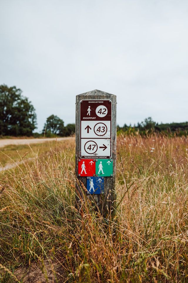 Ein Pfosten in der Landschaft mit Wegweisern für Wanderrouten.