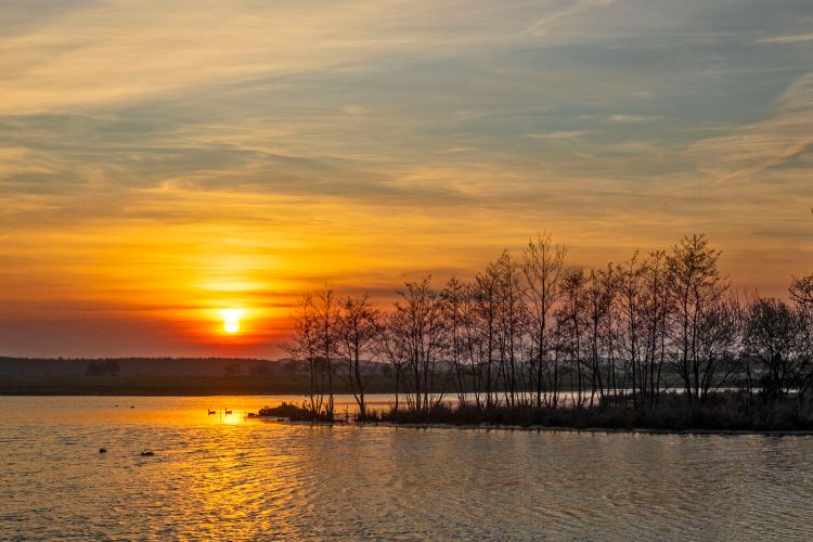 Vroonpolder-En-Gadrabos-Bij-Zonsondergang