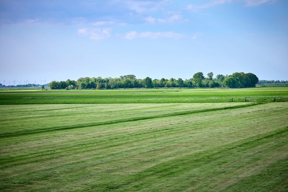 Eendenkooi Bakhuizen
