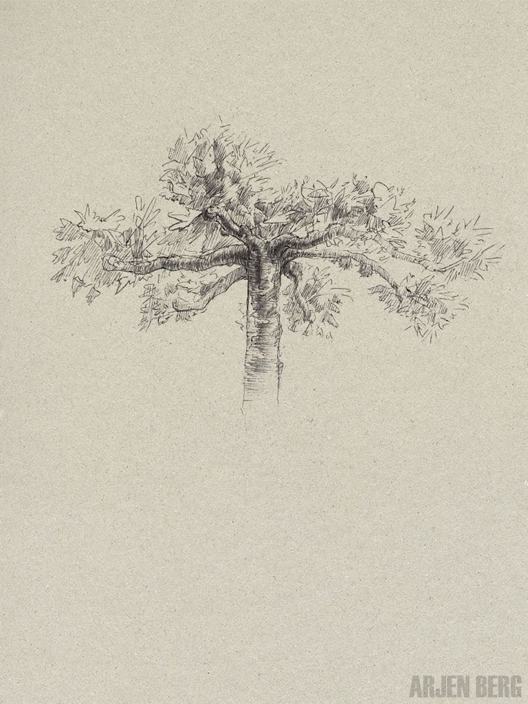 life-drawing-of-a-tree-in-st-nyk_565876843.jpg