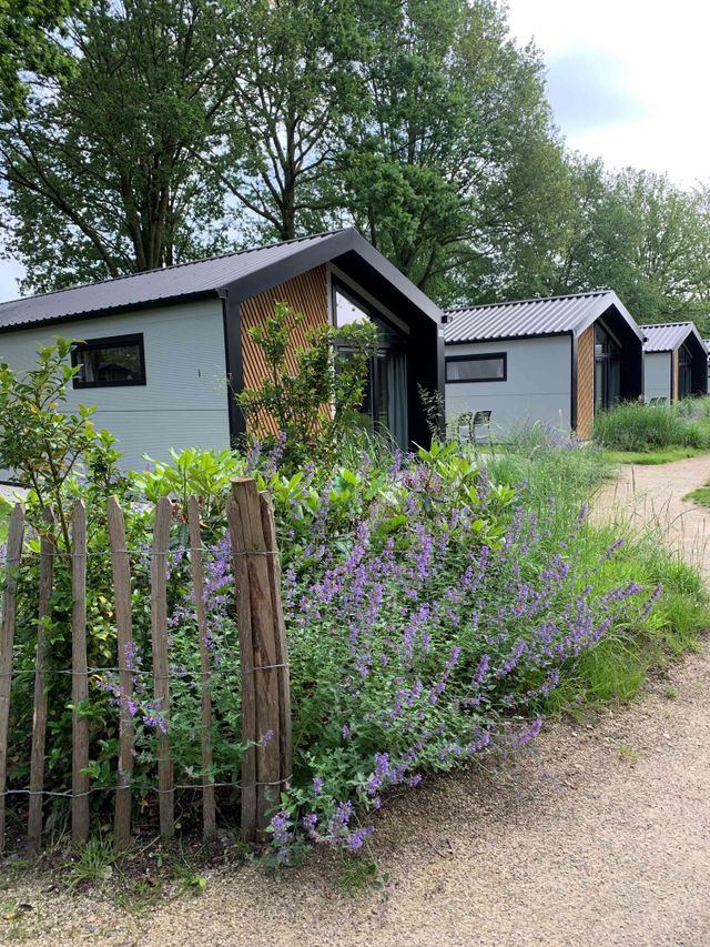 zicht op een paar huisjes van Europarcs Kaatsheuvel met ervoor een mooie struik met bloemen