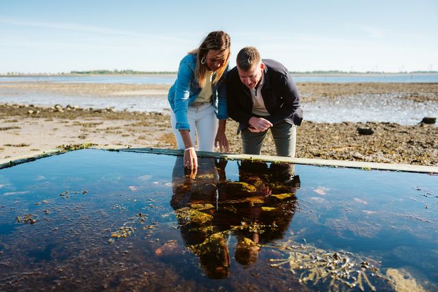 Op-Schouwen-Duiveland-getijdenbakken-Bruinisse