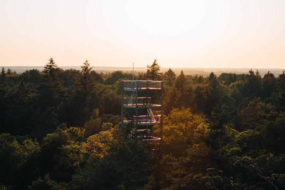 Aus der Luft wurde ein Foto von einem Mann aufgenommen, der auf einem Aussichtsturm mitten im Wald bei Sonnenuntergang steht.