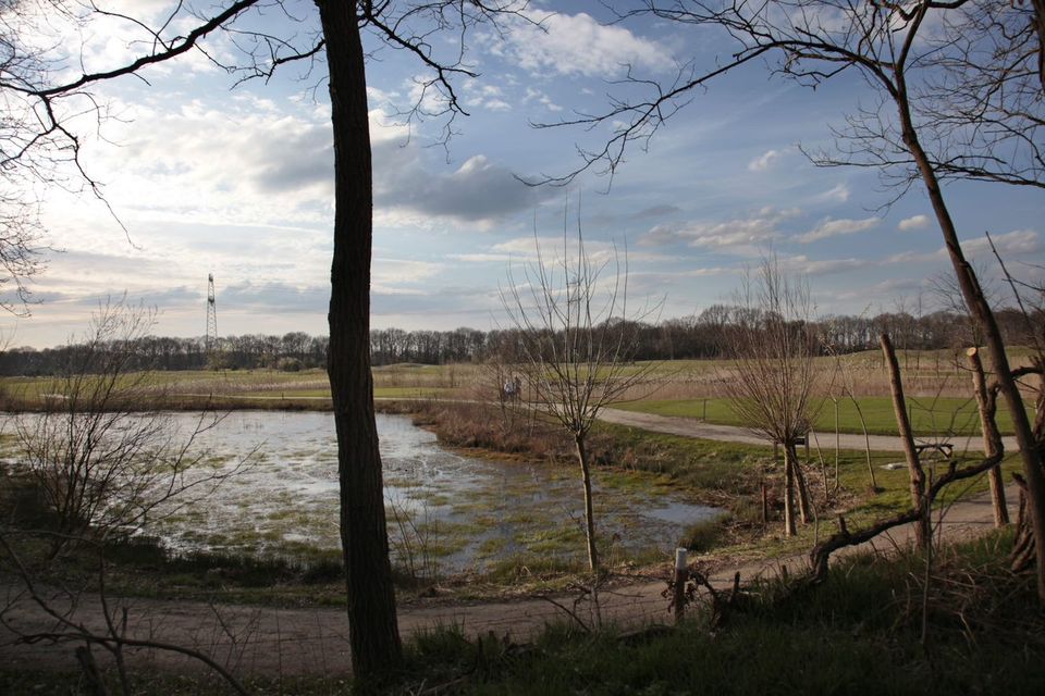 De Vrachelse Heide nabij Koeckers