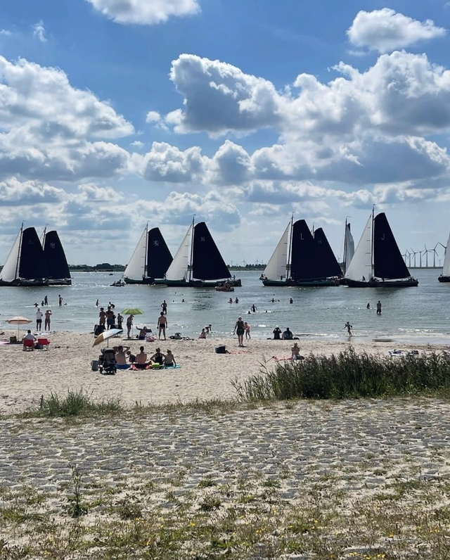 Verschillende skutsjes zeilen op het water aan een strand.