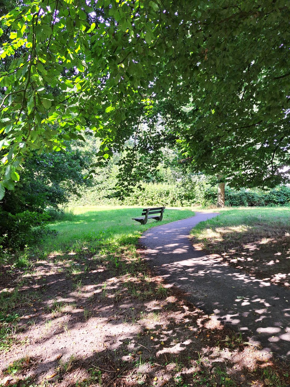 Rondje Feanwâlden – Bûtefjild