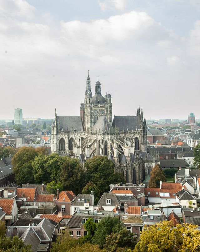 Sint-Janskathedraal 's-Hertogenbosch vanaf afstand gezien