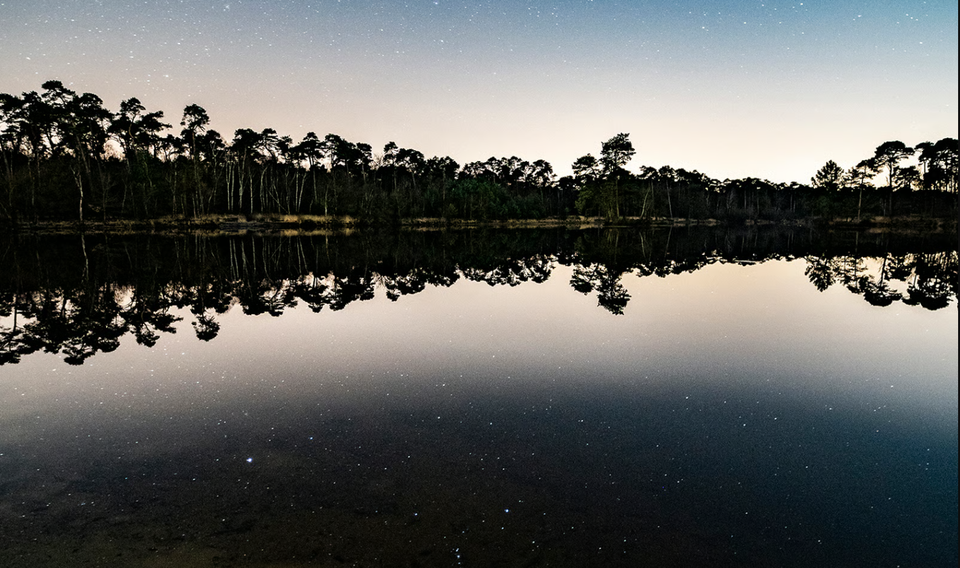 Sterren in de schemer op de Kampina
