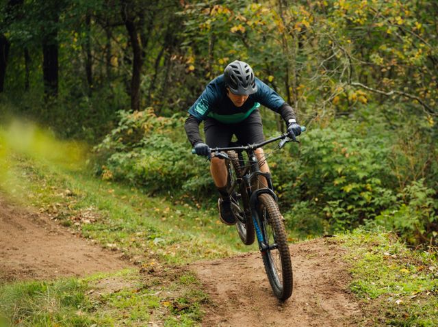 Mountainbiker bos