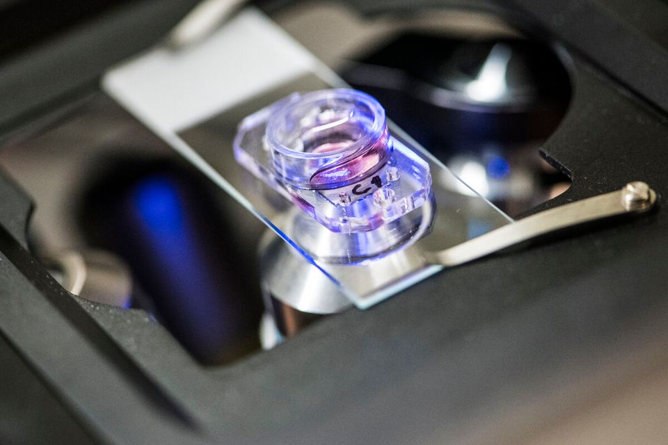 Lab experiment LUMC