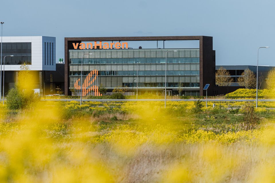 Die VanHaren-Schuhfabrik mit gelben Blumen im Vordergrund.