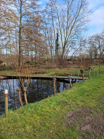 Wandeling natuurtuin De Bimd