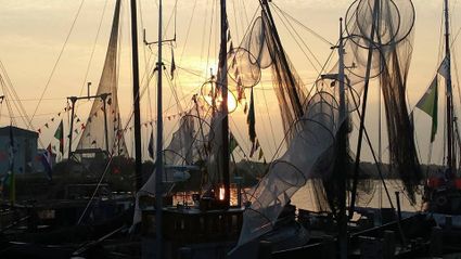 Visserijboten naast elkaar in Makkum