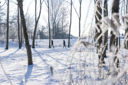Midwinterwandeling Vakantiepark De Twee Bruggen