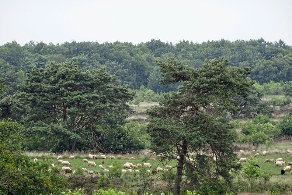 Zicht Havelterberg
