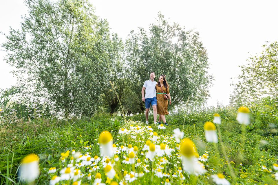 Natuurgebied Willeskop in Lopik, Groene Hart. Wandelend stel op een groen natuurpad tussen bloeiende kamille, weelderige begroeiing en bomen in een rustig polderlandschap.
