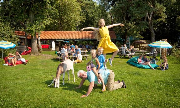 Kamp de Marke, uitermate geschikt voor familiedagen
