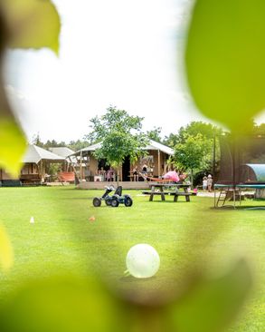 From Bosweide Glamping - Photo 3